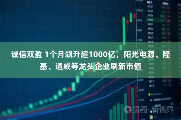 诚信双盈 1个月飙升超1000亿，阳光电源、隆基、通威等龙头企业刷新市值